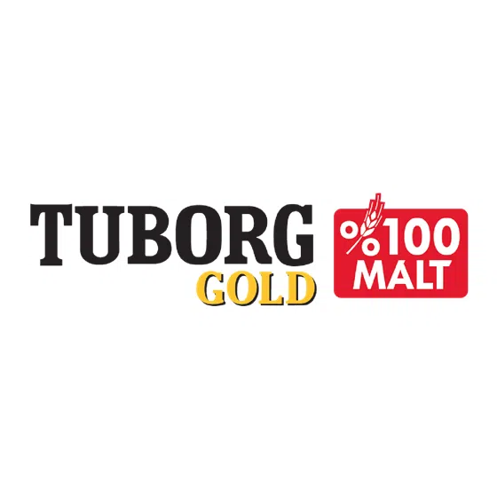 TUBORG GOLD FIÇI 33CL